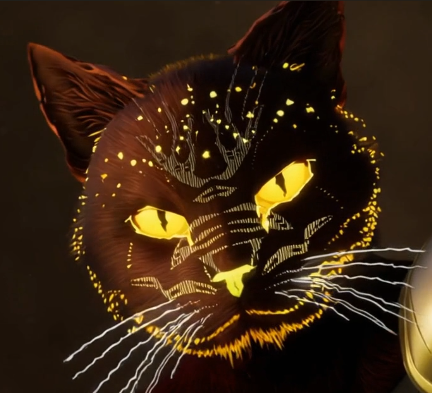 BraveCat Profile Picture